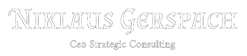 Niklaus Gerspach-ANALYSIS | CEO DEVELOPMENT | DESIGN IT ARCHITECTURES​ | WRITER |ARTIST